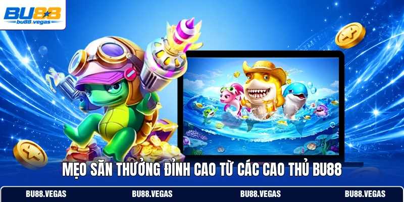 Mẹo săn thưởng đỉnh cao từ các cao thủ Bu88